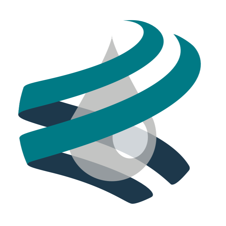 SUD OUEST BLANCHISSERIE